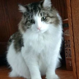 Meet your Posher, Terry